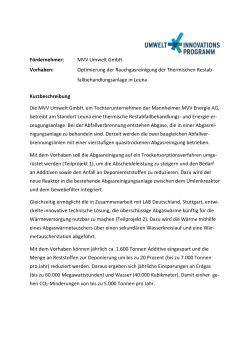 MVV Umwelt GmbH Vorhaben - Umweltinnovationsprogramm