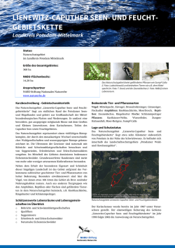 lienewitz-caputher seen- und feucht- gebietskette - NABU