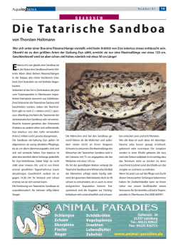 Die Tatarische Sandboa