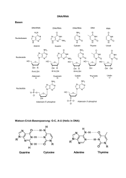 DNA/RNA Basen Watson-Crick-Basenpaarung: G-C, A