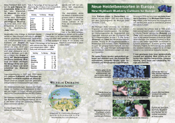 Neue Heidelbeersorten in Europa.