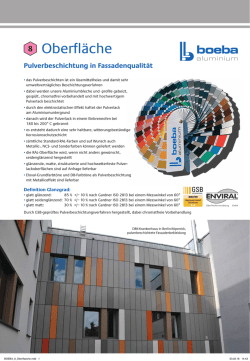Info-PDF zu Oberfl&auml;che zum