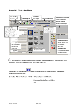 Imagic IMS Client-Oberfl&auml;che