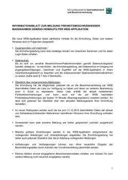 Informationsblatt WEB Applikation