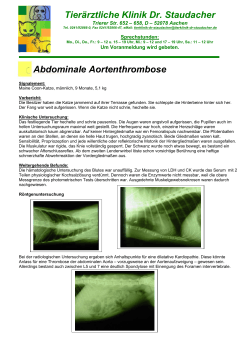 Abdominale Aortenthrombose - Tierklinik Dr. Staudacher