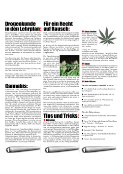 Drogenkunde in den Lehrplan: Cannabis