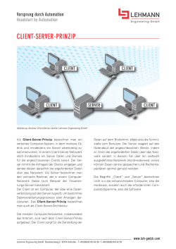 client-server-prinzip - Lehmann Engineering GmbH