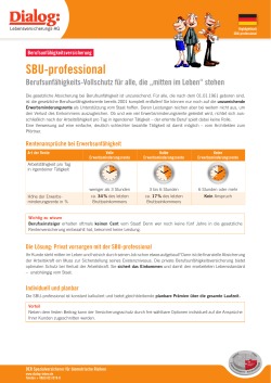 Highlightblatt SBU-professional