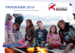 Das Programm zum - Die Falken, Unterbezirk