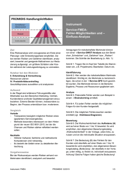 Instrument Service-FMEA- Fehler-M&ouml;glichkeiten und &ndash; Einfluss