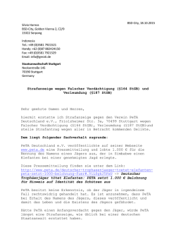 Strafanzeige wegen Falscher Verdächtigung (§164 StGB) und