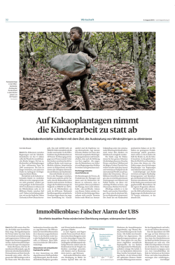 Immobilienblase: Falscher Alarm der UBS