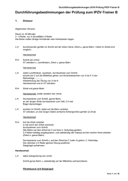 Durchf&uuml;hrungsbestimmungen der Pr&uuml;fung zum IPZV
