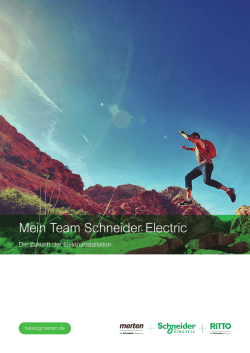 Mein Team Schneider Electric