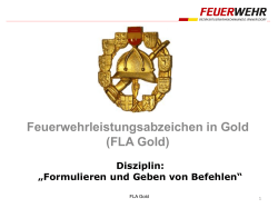 Feuerwehrleistungsabzeichen in Gold (FLA Gold)