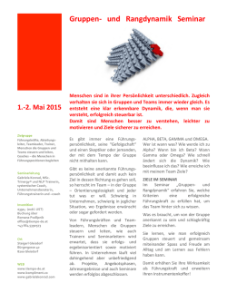 Gruppen-‐ und Rangdynamik Seminar