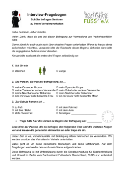 Interview-Fragebogen
