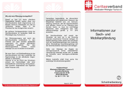 Informationen zur Sach- und Mobiliarpf&auml;ndung
