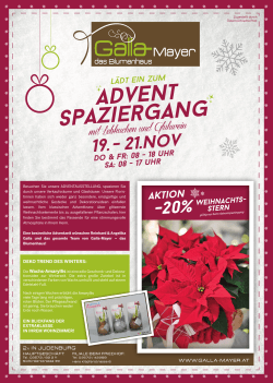 Advent spaziergang - Galla