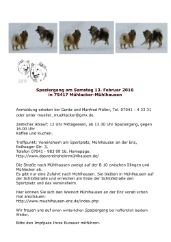 Spaziergang am 13. Februar 2016 in Mühlhausen an der Enz