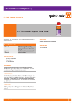 NSTF Naturstein-Teppich Feste Wand - Quick-Mix