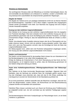 Hinweise zur Gebotsabgabe