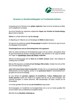 Hinweise zu Gesellschaftsjagden im Forstbetrieb Kelheim