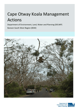 Cape Otway Koala Management Actions