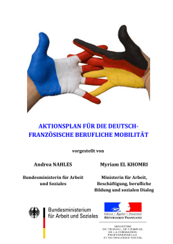 aktionsplan für die deutsch- französische berufliche mobilität