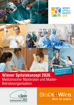Wiener Spitalskonzept 2030. Medizinischer Masterplan und Master