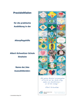 Praxisleitfaden - Albert-Schweitzer