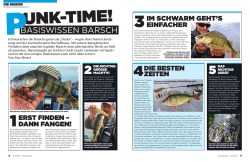 BASISWISSEN BARSCH