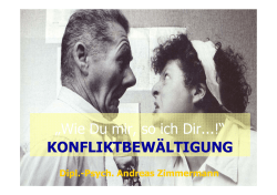 Konflikte verstehen und lösen