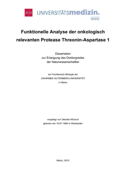 4116 - Gutenberg Open