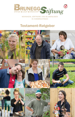 Testament-Ratgeber