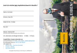 Bürgerinitiative Flyer 12.11.2015 final