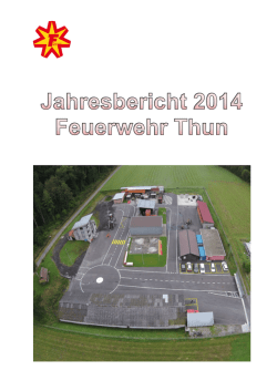 Jahresbericht 2014