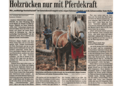 Holzrilcken nur mit Pferdekraft