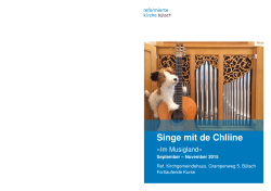Flyer Singe mit de Chliine Kurs III_15