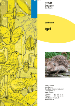 Igel - Umweltberatung Luzern