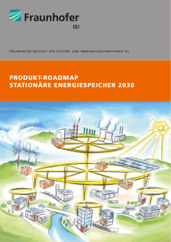 Produkt-Roadmap Stationäre Energiespeicher 2030