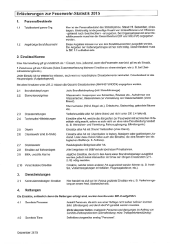 Erläuterungen zur Feuerwehr-Statistik 2015