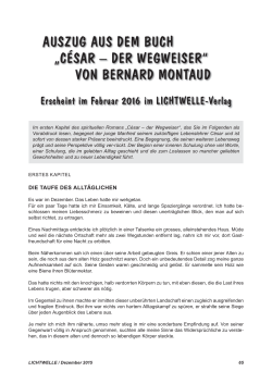 pdf-version - Zeitschrift Lichtwelle