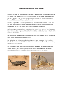 Die Sonne beeinflusst das Leben der Tiere