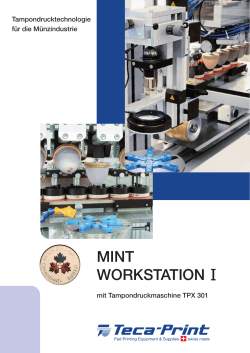 mint workstation - Teca