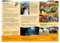 Wegeplan&ndash; Ihr Rundgang durch den Tierpark Hagenbeck