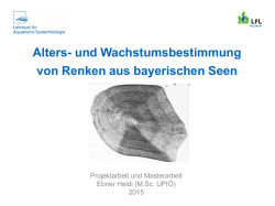 und Wachstumsbestimmung von Renken aus bayerischen Seen