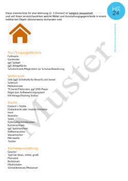 Flur/Eingangsbereich: Wohnraum: Küche: Küchenausstattung: