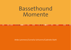 Bassethound Momente