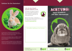 Schützen Sie Ihre Kaninchen! - IDT Biologika Tiergesundheit